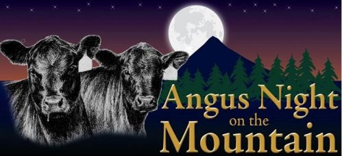 Angus Night on the Mountain